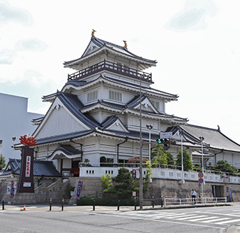 Toyota castle branch